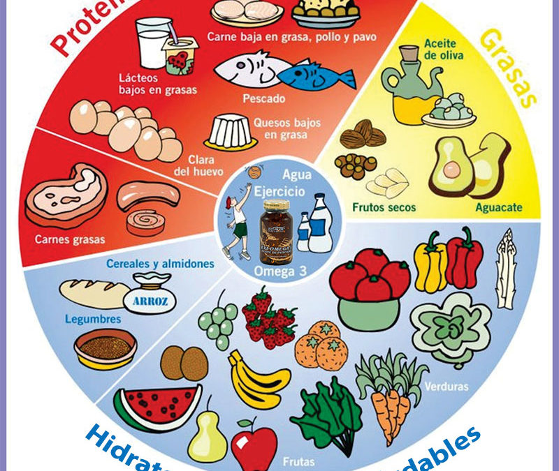 ¿Te alimentas o te nutres?