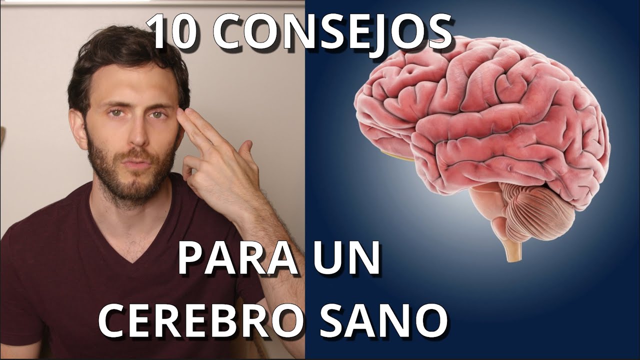 10 Consejos Para Mantener Tu Cerebro Sano Aloe Vera Salud Y Bienestar