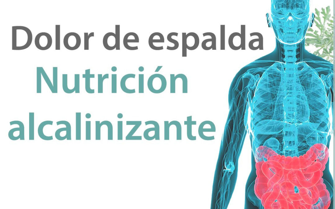 Nutrición alcalinizante y dolor de espalda, muscular y articular